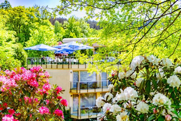 Hotel Restaurant 'Villa Marburg im Park'