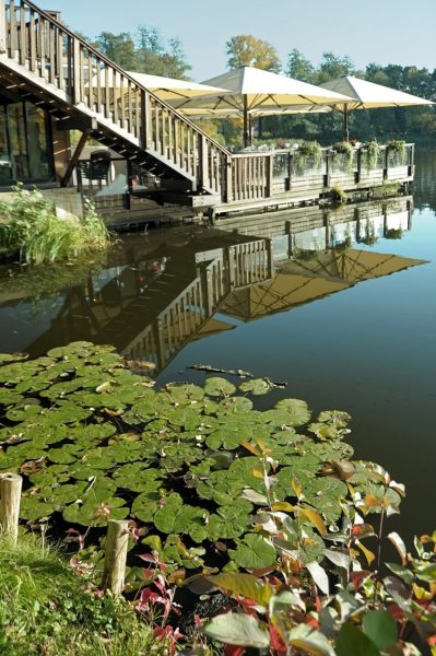 Restaurant Boddensee