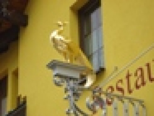 Weinstube zum Pfauen