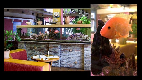 Restaurant HUBLAND, Würzburg