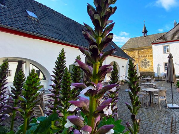 Gasthaus Küchenhof