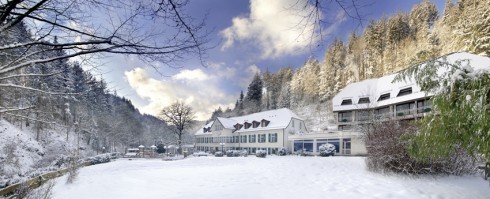 Waldhotel Bad Sulzburg