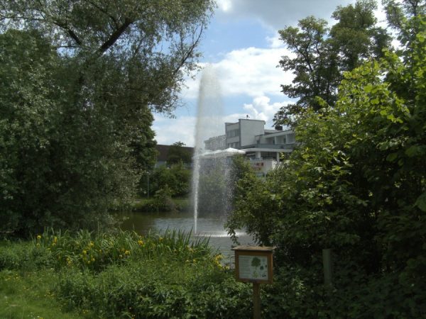 Restaurant im Hotel am Kaiserbrunnen