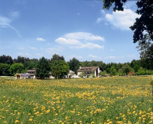 Restaurant Waldgasthof zum Geländer in Eichstätt Schernfeld