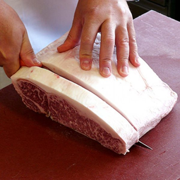 Toro Grosso GmbH, Magdeburg
