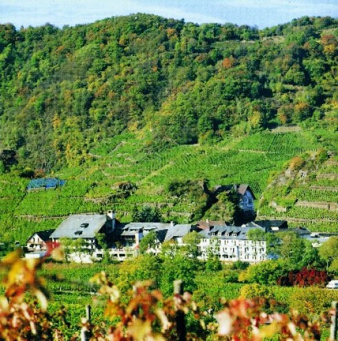 Restaurant Avalon Hotel Lochmühle in Mayschoß