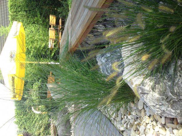 Kleine Welt