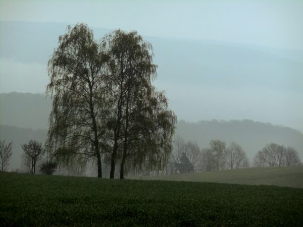 Landhotel Windlicht