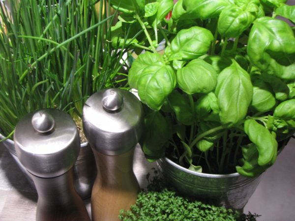 Event Catering by Thomas Fischer, Felsberg-Gensungen