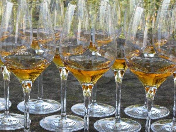 Event Catering by Thomas Fischer, Felsberg-Gensungen
