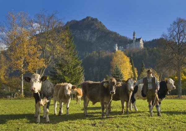 Hotel Helmer J&L Helmer GmbH&Co KG