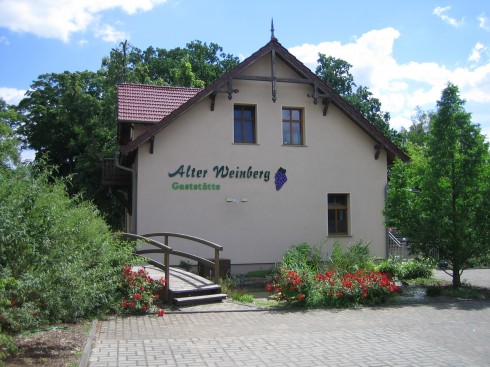 Alter Weinberg