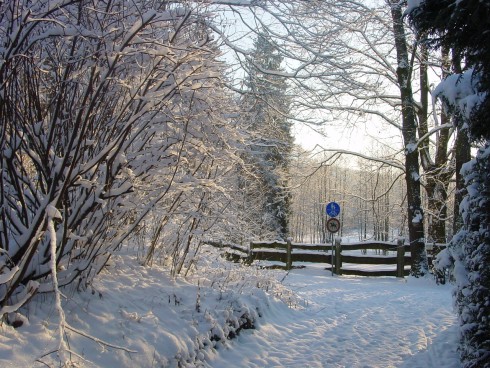 Krillemühle