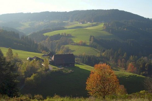 Schwarzwaldgasthaus Linde