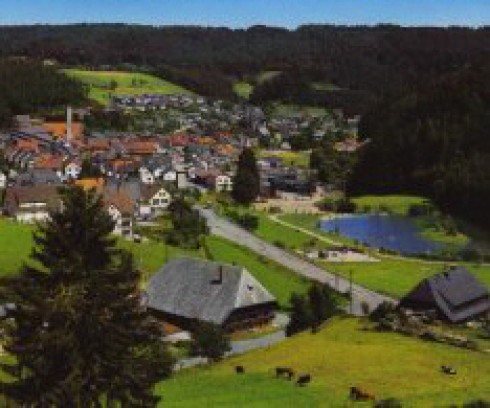 Schwarzwaldgasthaus Linde