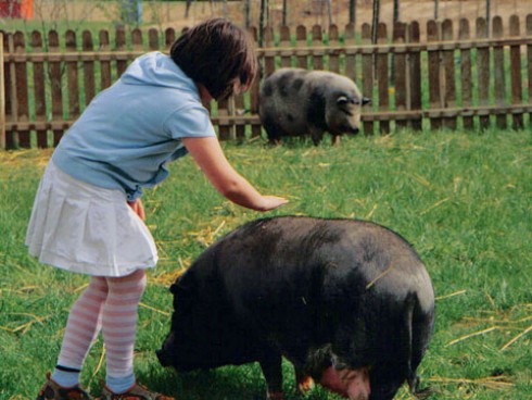 Krewelshof Erlebnis-Bauernhof