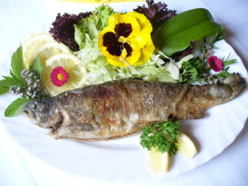 Aquamarin Fischrestaurant