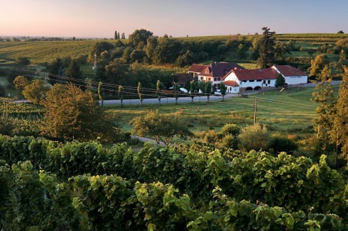 Burrweiler Mühle