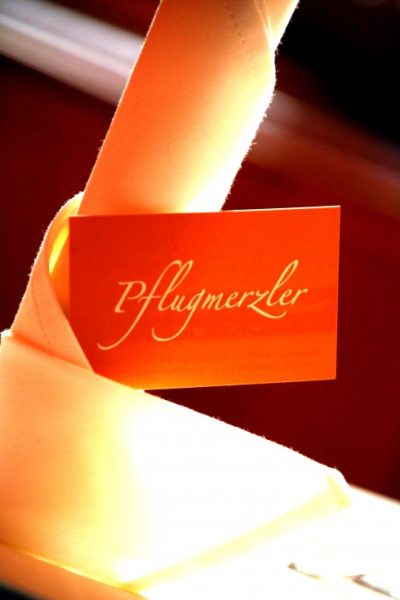 Pflugmerzler