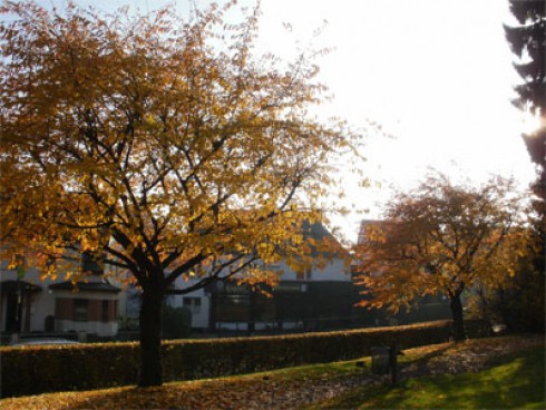 Landhotel Westerwald