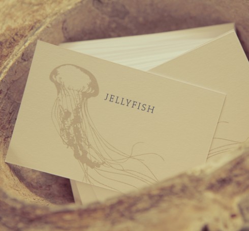 Jellyfish