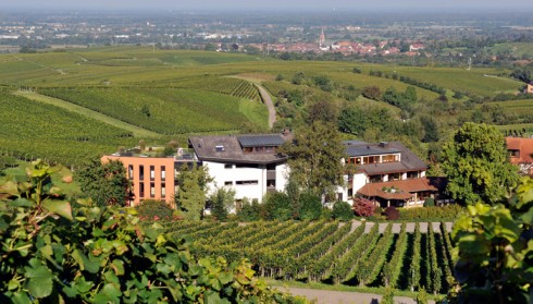 Rebenhof