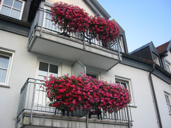 ***Hotel-Restaurant Heiligenstadter Hof