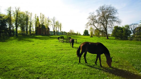 Hotel & Restaurant Ole Liese