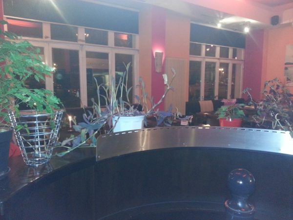 Cafe und Restaurant MUSES
