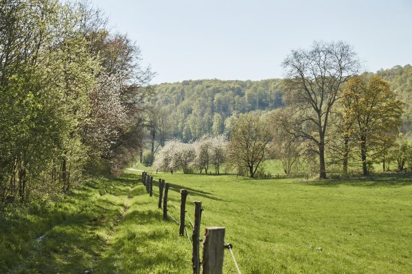 La Vallée Verte im Hotel Hohenhaus
