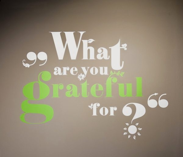 Gratitude - organic eatery