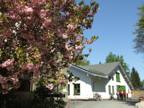 Fuchskaute