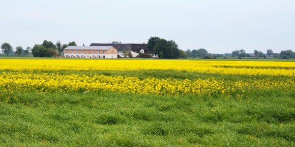 Pharisäerhof