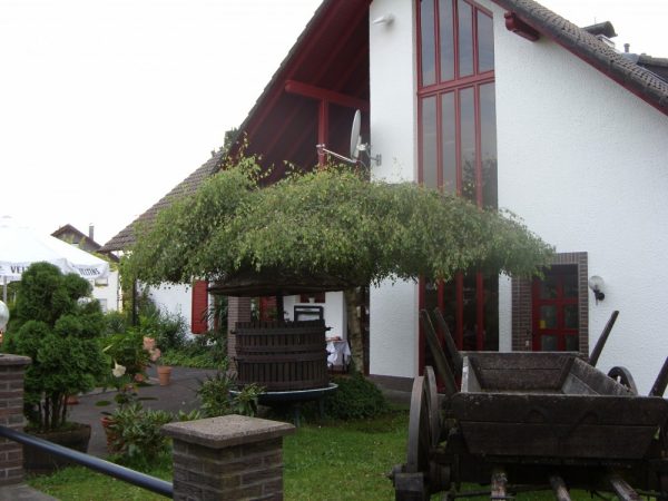 Restaurant Meson el Toro
