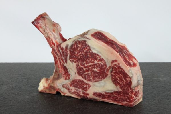 Toro Grosso GmbH