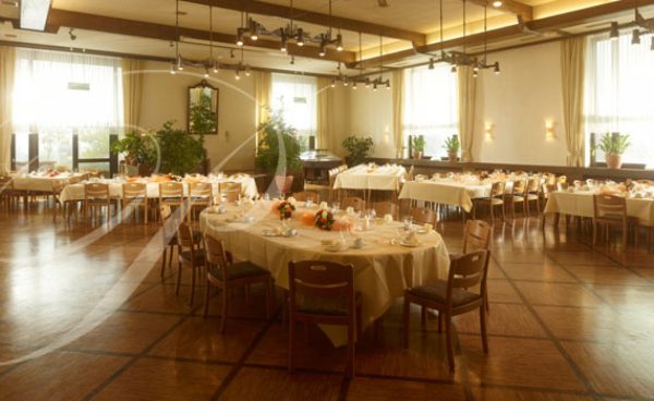 Pfälzer Hof - Lösch