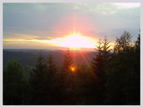 Zum goldenen Lamm