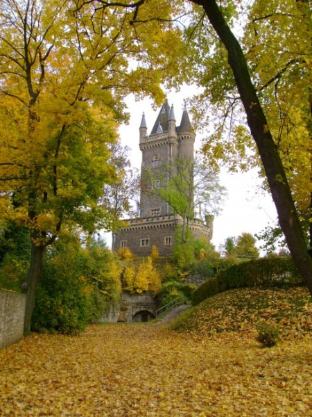 Restaurant Schloss-Cafe'
