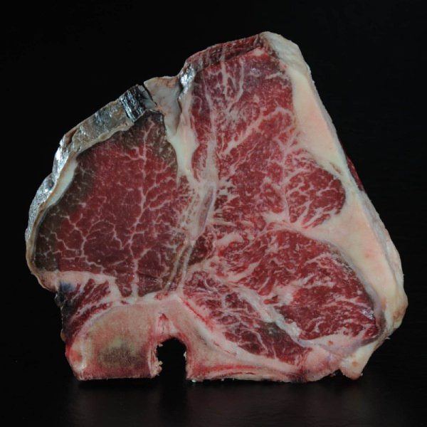 Toro Grosso GmbH