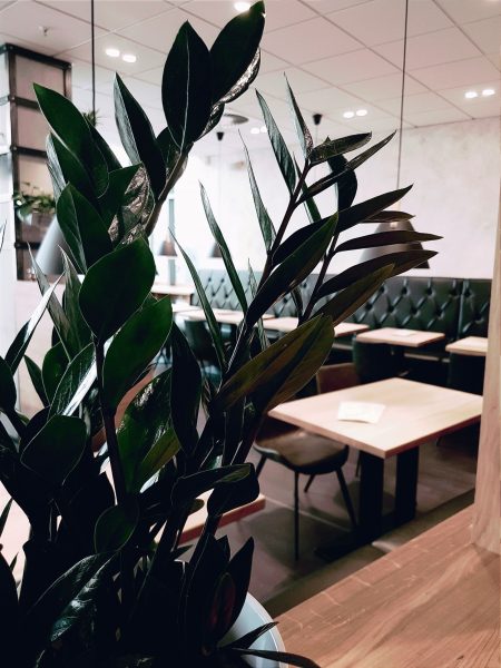 xfresh - coffee & foodlounge