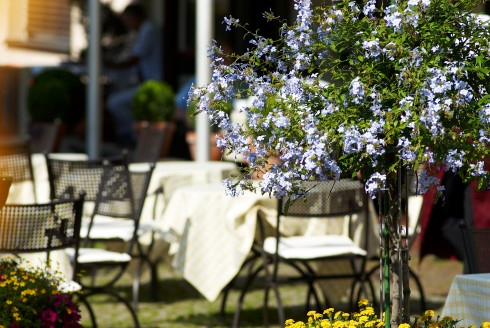 Hotel Sonne