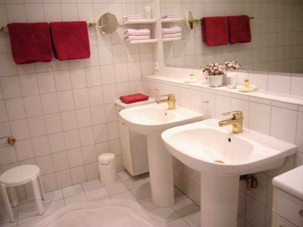 Der Schwan