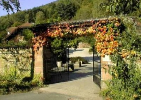Restaurant Restaurant Buschmühle in Burrweiler