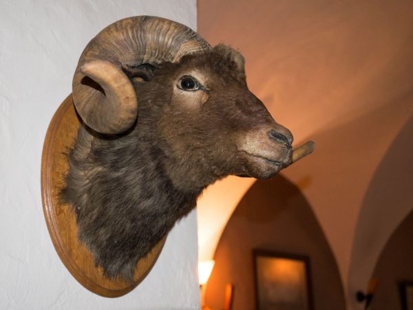 Schankwirtschaft 'Zur Schwarzen Kunst', Görlitz