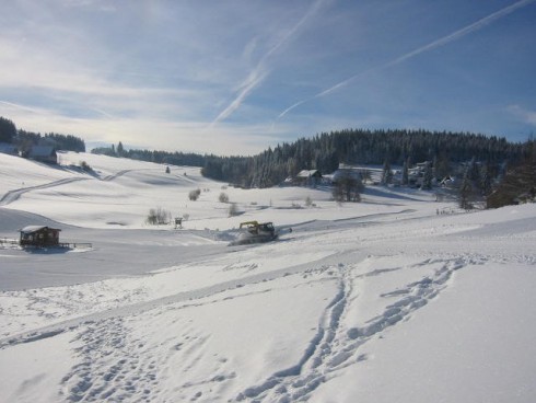 Hotel Gasthof Schwarzwaldtanne