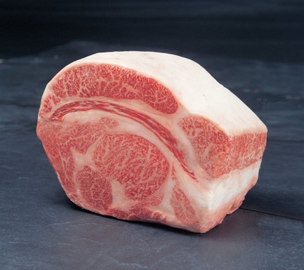 Toro Grosso GmbH, Magdeburg