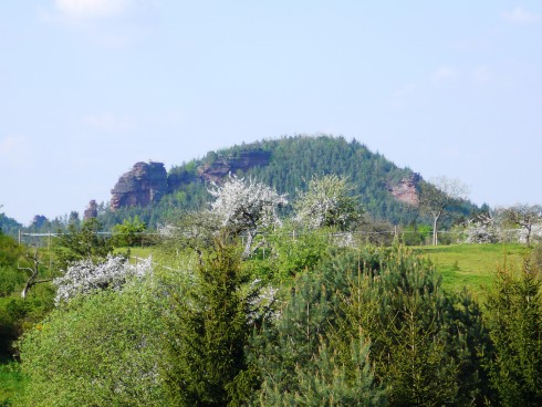 Landgasthof - Hotel Zum Ochsen 