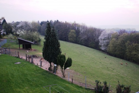 Paganetti´s Landgasthof Zur Erholung , Breitscheid-Verscheid