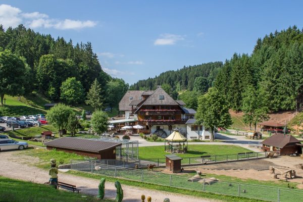 Schwarzwaldgasthof Tannenmühle