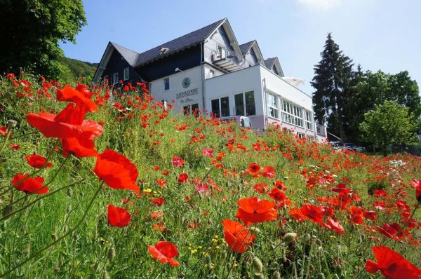 Waldhotel Schinkenwirt